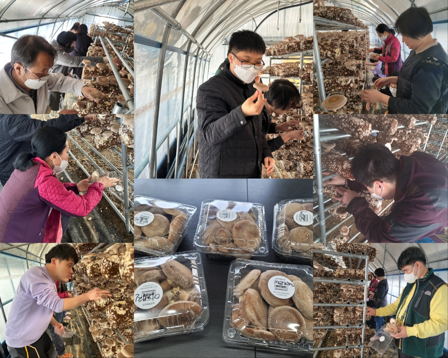 주간활동서비스 기장 버섯공장 & 피자 만들기 체험!^^