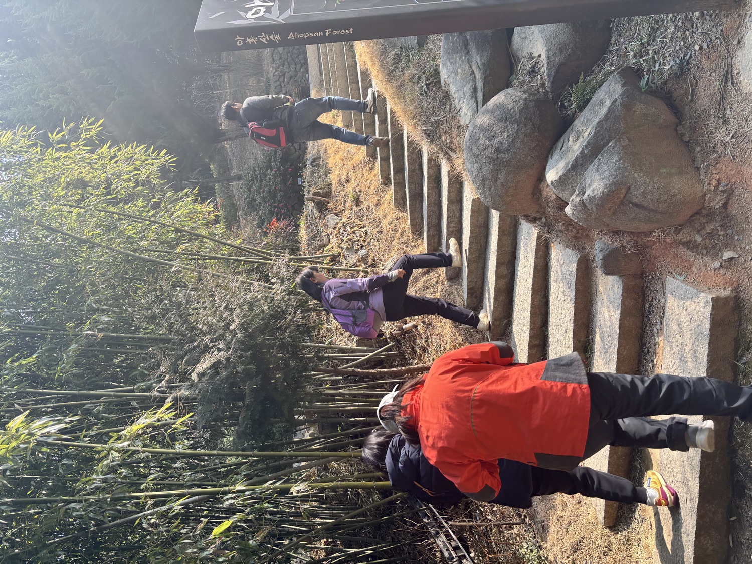 건강증진 프로젝트 