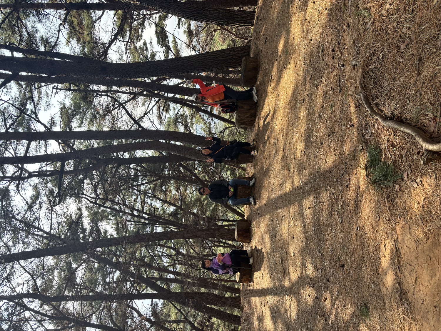 건강증진 프로젝트 